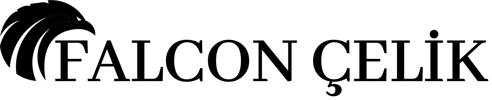 Falcon Çelik